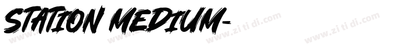 station Medium字体转换